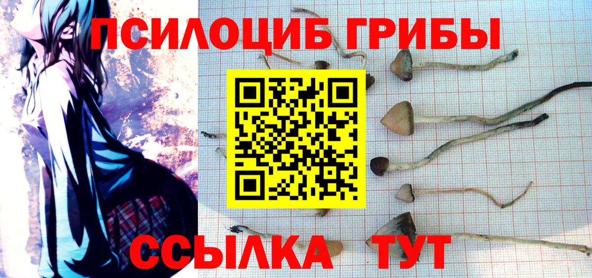 Галлюциногенные грибы MAGIC MUSHROOMS Артём